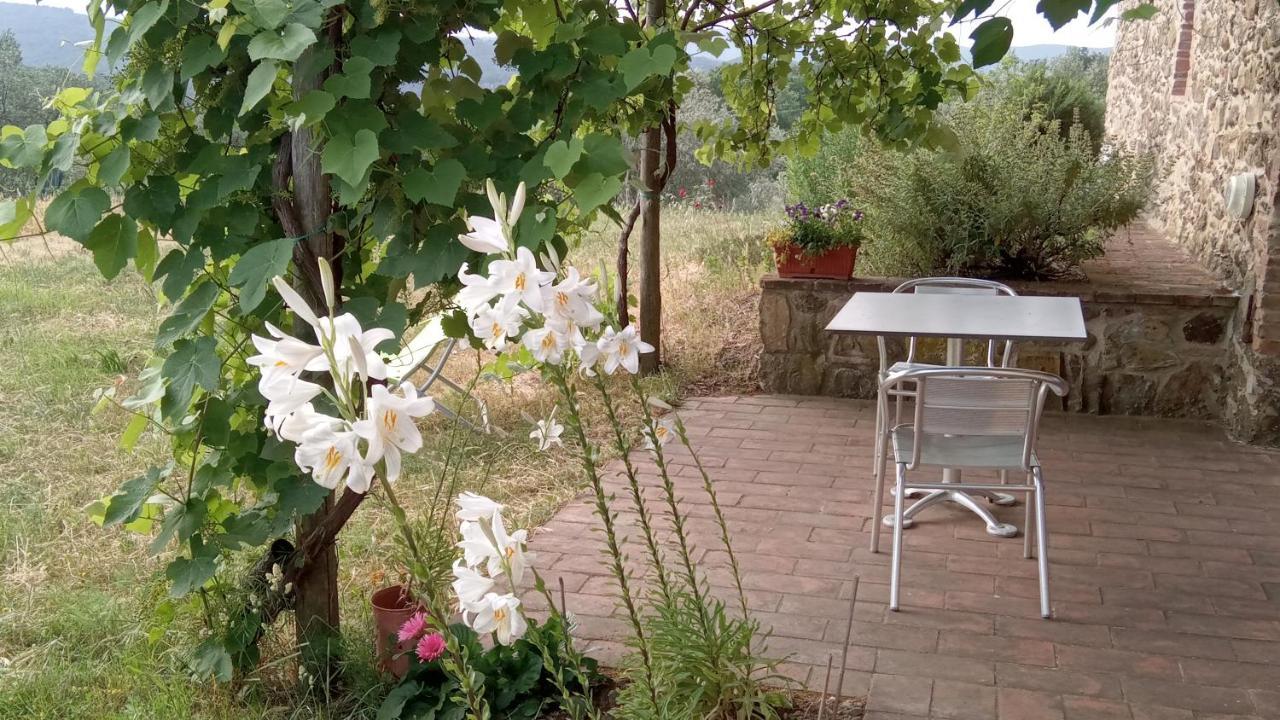 Sport Bikes And Nature Monterotondo  Zewnętrze zdjęcie